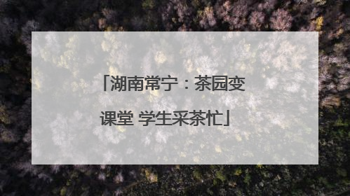 湖南常宁：茶园变课堂 学生采茶忙